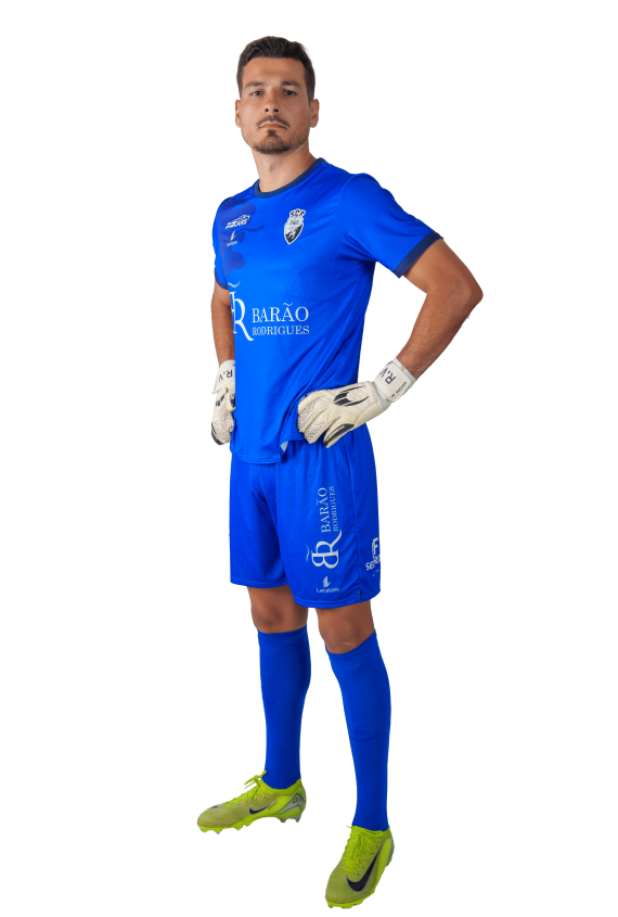 Ricardo Velho